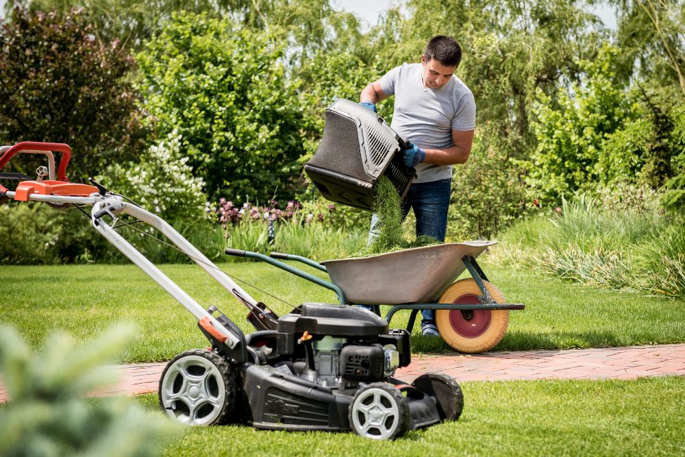 How To Start a Lawn Care Business With No Money