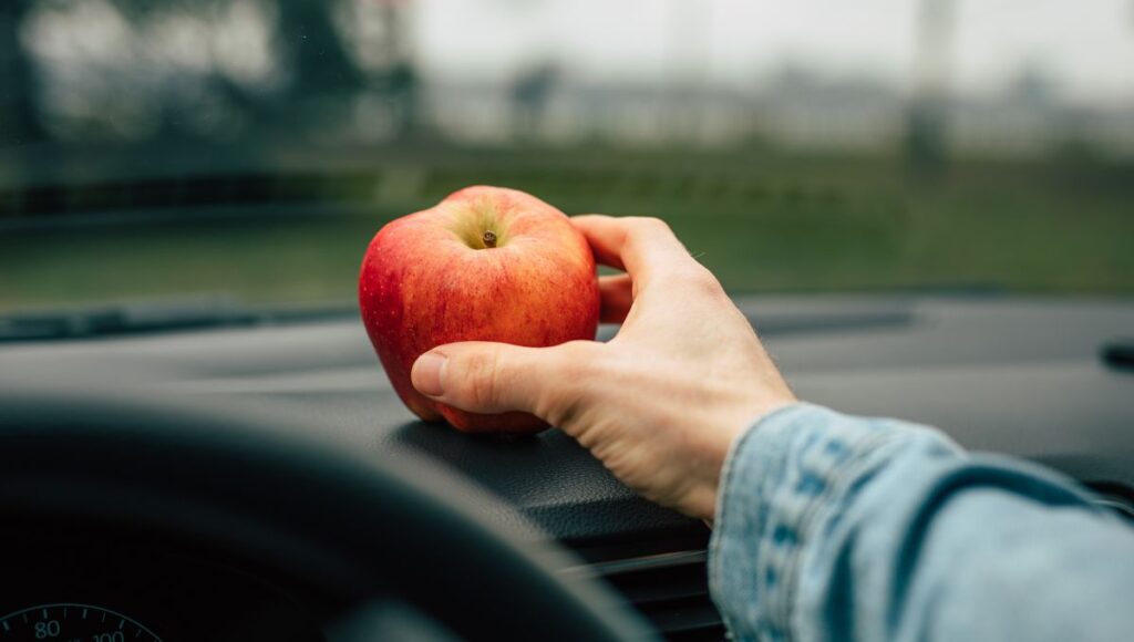 The Best Snacks Truckers Can Eat While Driving