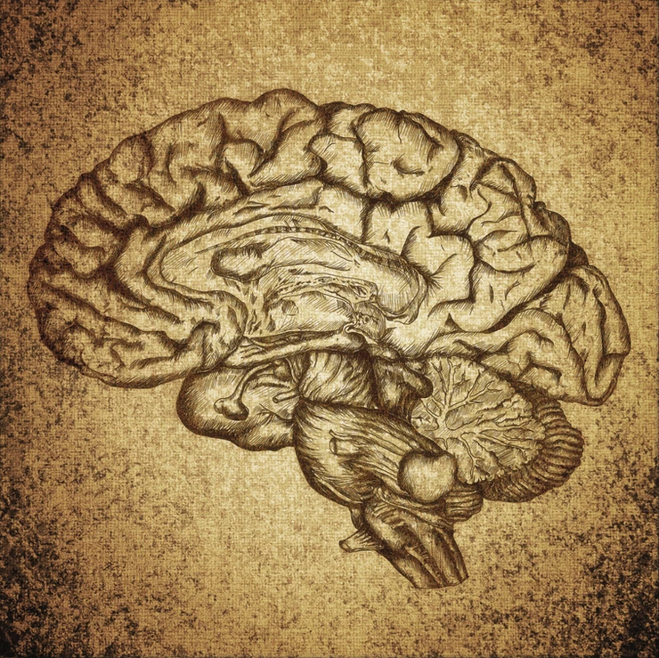 Ways to Keep Your Brain Healthy