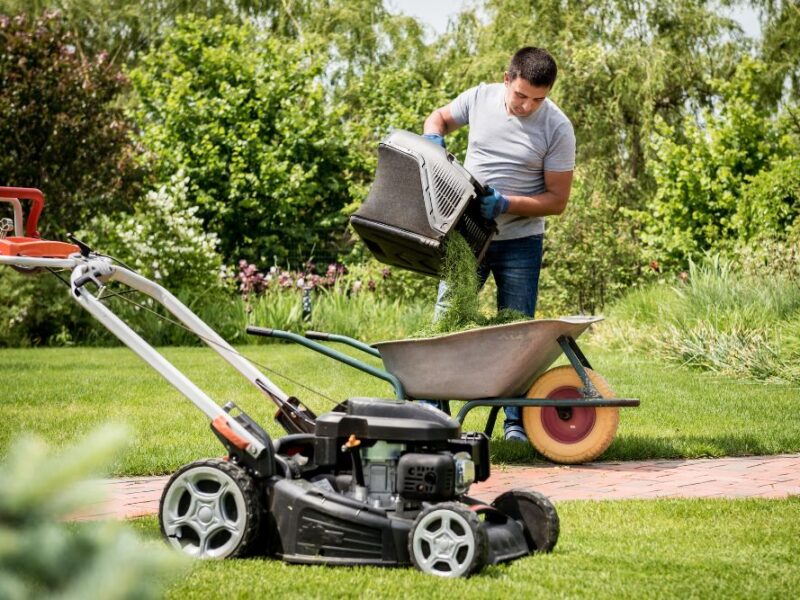How To Start a Lawn Care Business With No Money