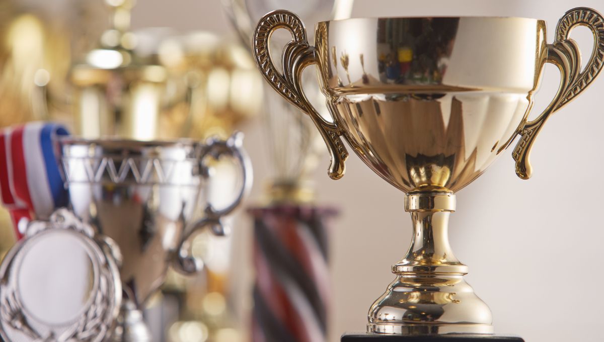 3 Best Places To Display Your Trophies and Awards