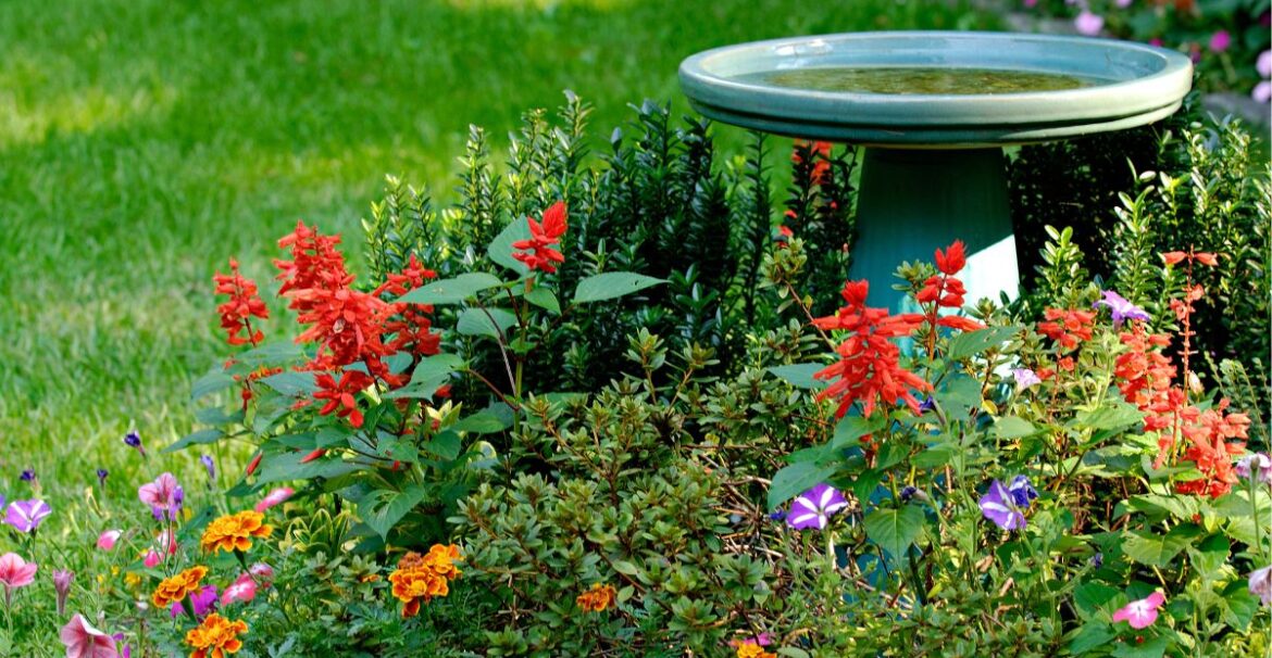 4 Simple Ideas To Make Your Yard Stand Out