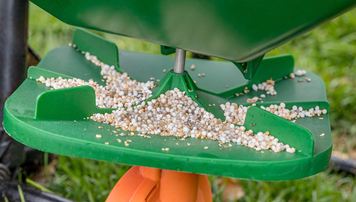 The Benefits of Using Fertilizer on Your Lawn